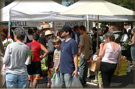 farmers market photo