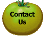 Contact Us Page Image Link
